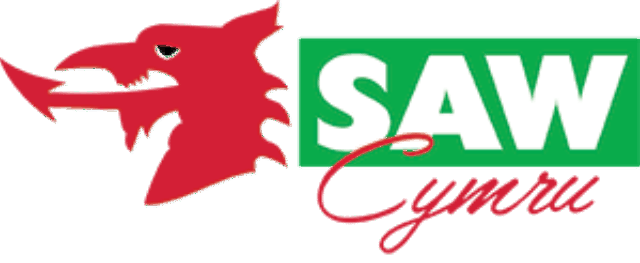 Strength Academy Wales logo, with a red dragon, green and black background, white and red text